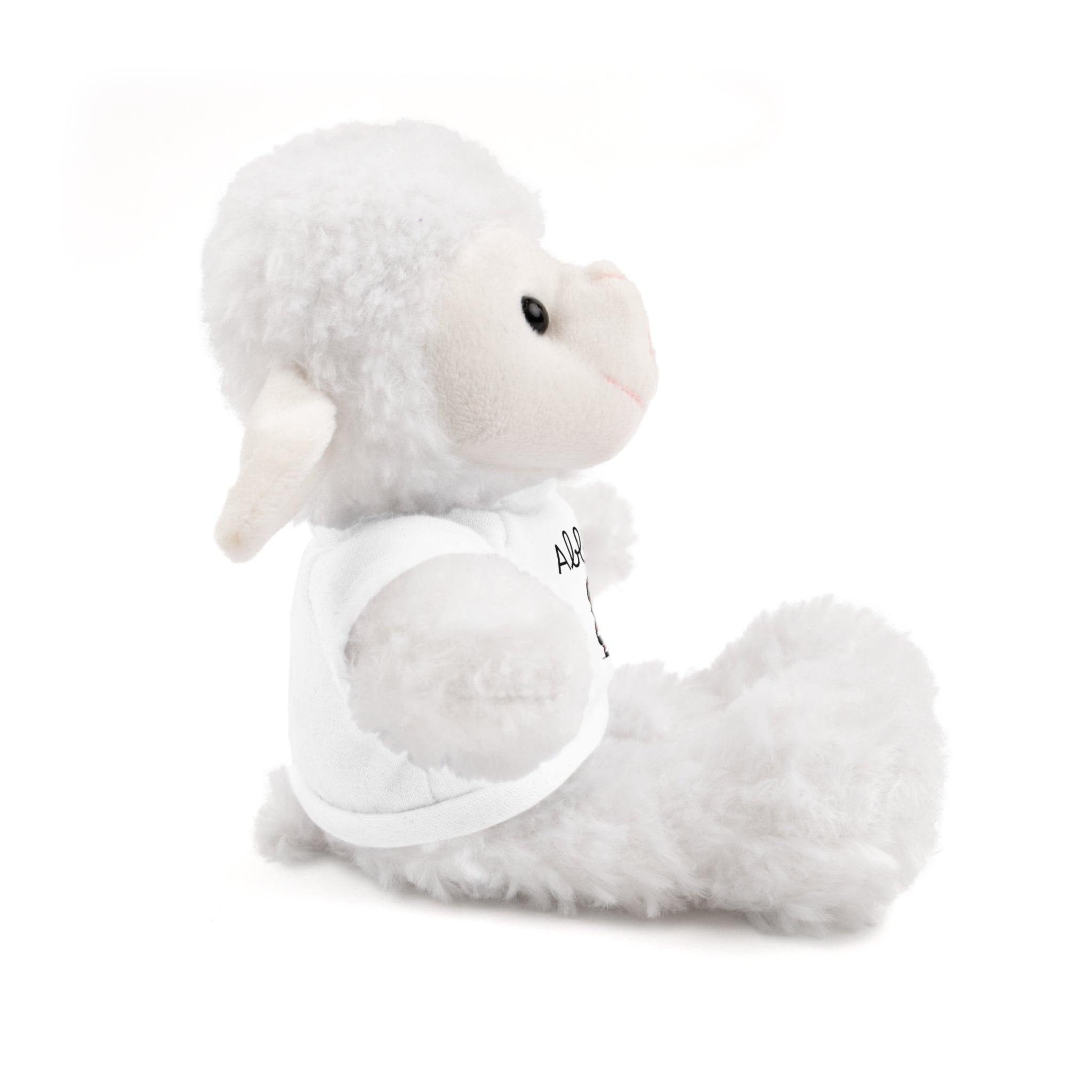 Personalized Tees on Stuffed Animals, Cute Gift for Kids, Birthday, Holidays, Plush Toy, Custom Bear