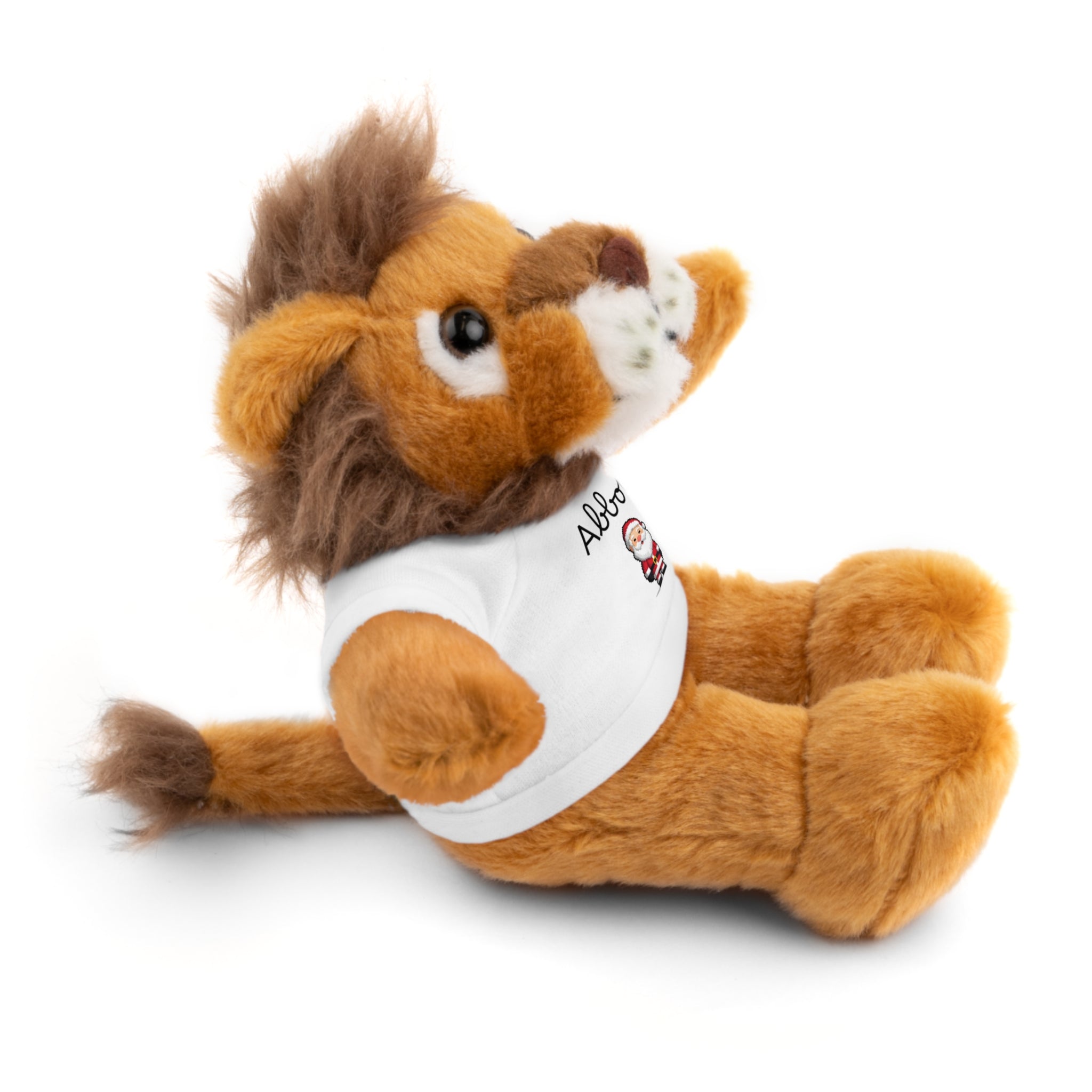 Personalized Tees on Stuffed Animals, Cute Gift for Kids, Birthday, Holidays, Plush Toy, Custom Bear